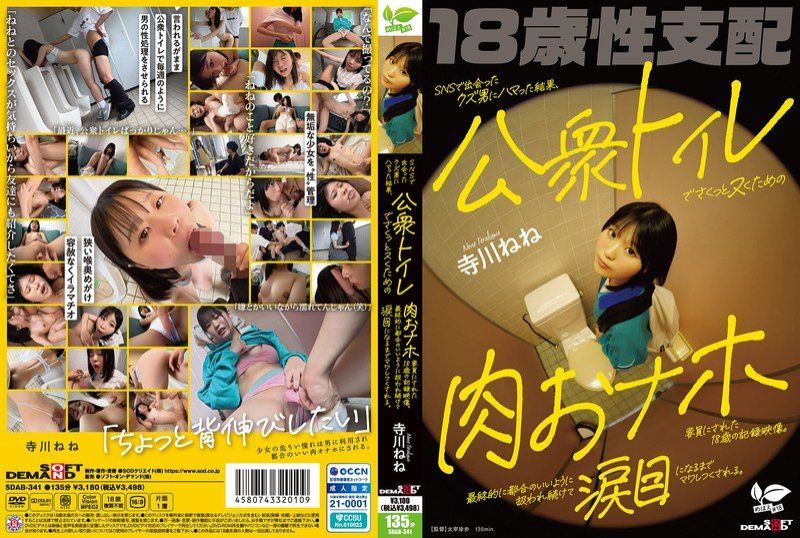 SDAB-341 迷戀在社交網站上認識的渣男，最終成為他用來在公共廁所裡輕鬆解決性需求的肉體工具的18歲記錄影片。被持續地處理得符合他方便的方式，直到眼淚模樣被完全利用。 寺川寧寧